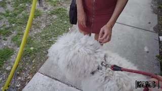 Public Pickups - Man's Best Friend - 02/20/2020