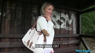 Public Agent - Blonde MILF Gets Naked for Art - 11/11/2014