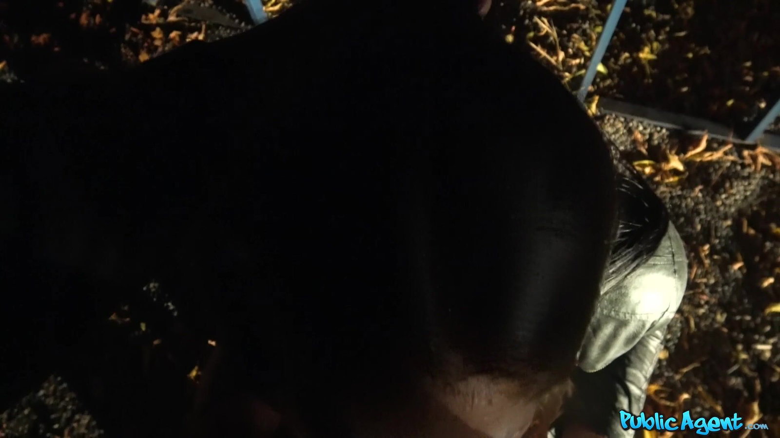 Public Agent - Busty minx night time public fuck - 02/05/2019