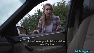 Public Agent - The Swedish Hitchhiker - 01/10/2026