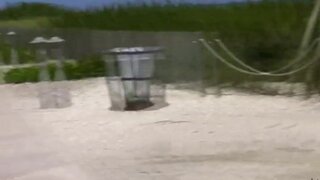 Street BlowJobs - Shes A Super Freak - 07/12/2009
