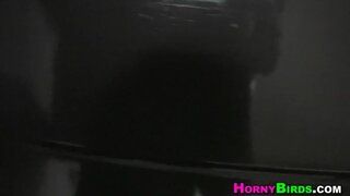 Horny Birds - Crazy In Cabo - 10/12/2011