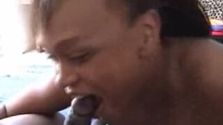Boob Squad - Moe And Her Twin Peaks - 06/20/2002