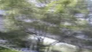 Bang Bus - Natty - 03/28/2003