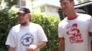 Bang Bus - Who DID let the dogs out? - 03/23/2005