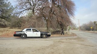 Work Me Harder - To Serve And Protect - 03/18/2019