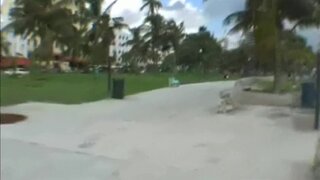 Street Ranger - Stacy - 07/14/2006