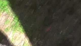 Street Ranger - Naughty Neighbors - 04/27/2007