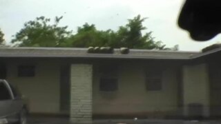 Street Ranger - A-nita blowjob - 05/25/2007