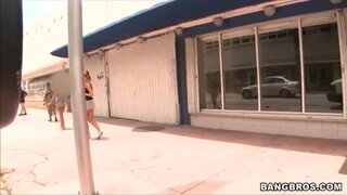 Bang Bus - A Swinger's Bus Ride - 08/27/2008