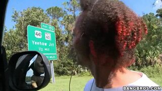 Bang Bus - Little Obama Mama - 11/19/2008