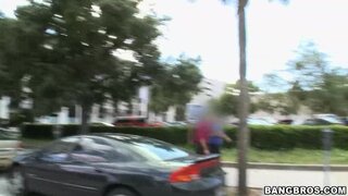 Bang Bus - Little Obama Mama - 11/19/2008
