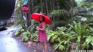 Bang Bus - The price is right! - 08/19/2009