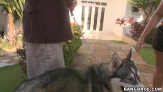 My Life In Brazil - Suzanny the Dog Rescuer! - 04/29/2010