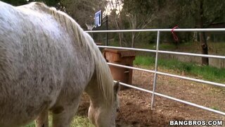 Milf Soup - Getting Pussy On the Ranch! - 03/12/2011