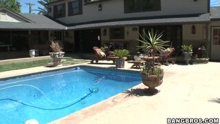 Brown Bunnies - Poolside Fun - 11/13/2011