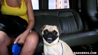 Bang Bus - Cute Blondie Gets Tricked on the Bus - 06/18/2014
