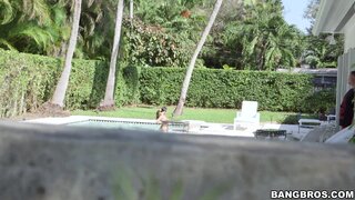 Brown Bunnies - Being a creepy pervert pays off - 11/23/2014