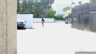 Ass Parade - Victoria's Big ASSets - 04/04/2016