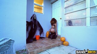 Brown Bunnies - Naughty Cecilia Gets The Perfect Treat - 10/26/2018