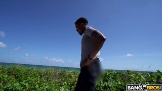 Brown Bunnies - A Slice Of Cake In Miami! - 11/12/2020