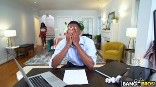 Brown Bunnies - How To Get His Attention - 02/11/2021