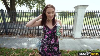 Bang Bus - Pantie Sniffing Money Grabber - 04/06/2022