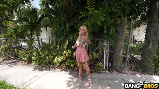 Bang Bus - Pays To Get Laid - 08/09/2023