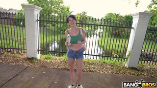 Bang Bus - I Spotted a Wild Kitty - 08/23/2023