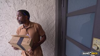 Brown Bunnies - Hands to Ass Delivery Here! - 12/07/2023