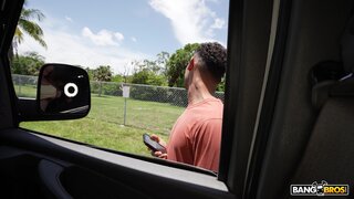 Bang Bus - Ginger Snaps On The Bus - 09/04/2024