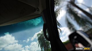 Bang Bus - Juniper and Tony Sitting In A Tree - 11/12/2024