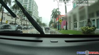 Pussy Patrol - Avery Good Day - 07/10/2025